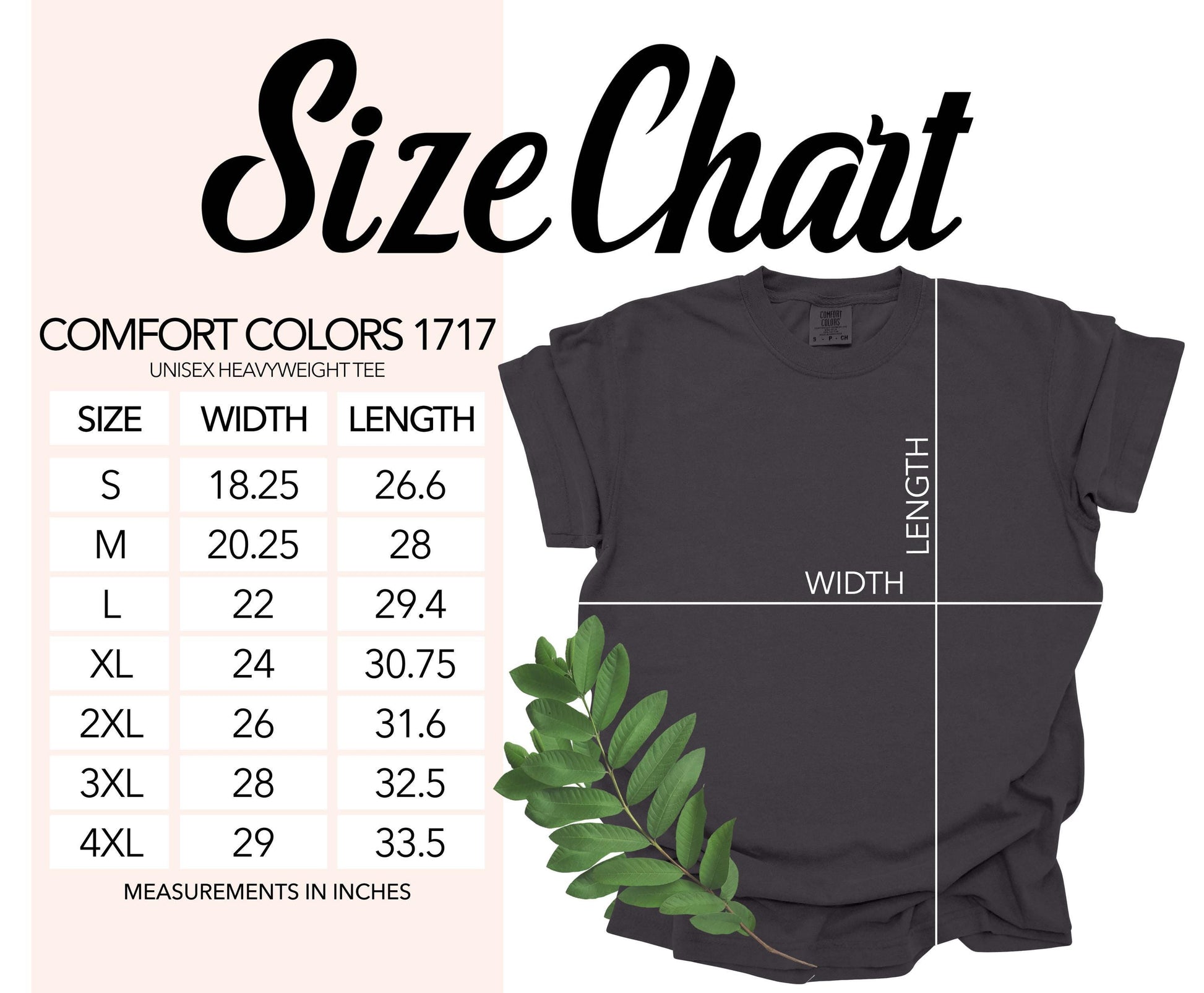 a black t-shirt with size and measurement information, along with a green leaf and a plant.